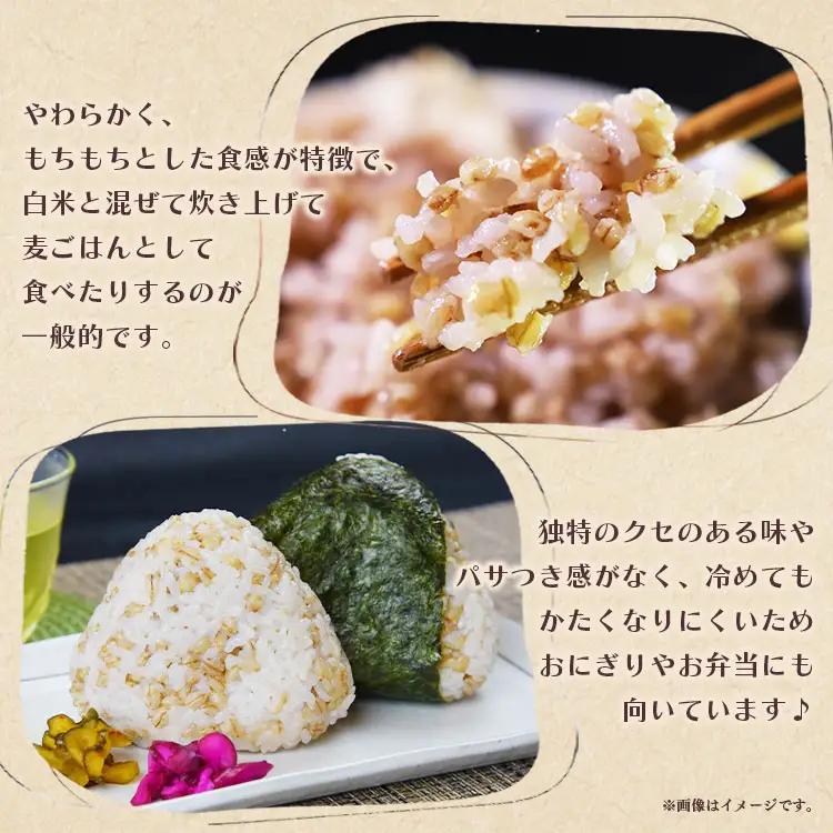 ダイシモチ もち麦 900g×3袋 食物繊維 もち麦 yr-0065