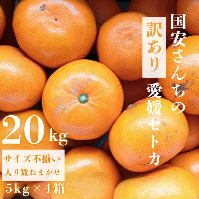 【ふるさと納税】【みかんの大トロ】糖度12.0以上酸1.4以下 糖酸選別品 訳あり愛媛セトカ20kg【H20-76】【1620330】