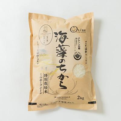 ふるさと納税 小矢部市 特別栽培米4kg(精米/ミルキークイーン・コシヒカリ 各2kg) |  | 01