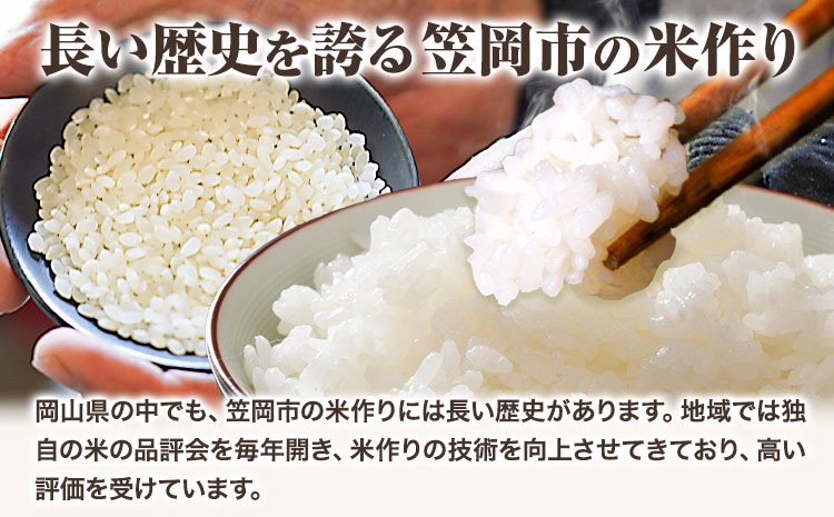 【令和7年11月発送】【先行予約】米 令和7年産 10kg 予約 ふるさと米 備中笠岡 人気品種をお届け！ 国産 ヒノヒカリ にこまる きぬむすめ お米 ブランド米 おにぎり 弁当 単一原料米 お取り寄せ 送料無料 岡山県産---R7-10k-R0711-24000---