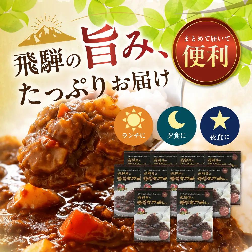 飛騨牛の極旨カレー 20食セット / カレー レトルトカレー 