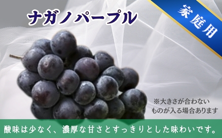【2026年先行予約】家庭用 シャインマスカット＆ナガノパープル 約2kg（3~5房）｜ ぶどう