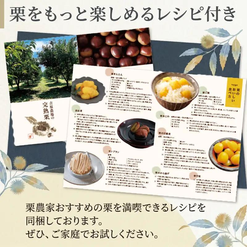 【 吉原農場 の 完熟栗 】 熟成 生栗 1kg 3Lサイズ ・ 焼き栗 2袋 セット