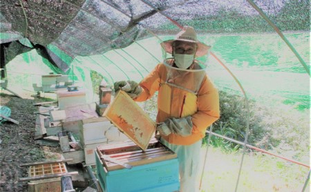 【新登場！】～京都府南山城村産～中下おじちゃんの愛情詰まった天然ハチミツ500g（非加熱） 蜂蜜 はちみつ 無添加 