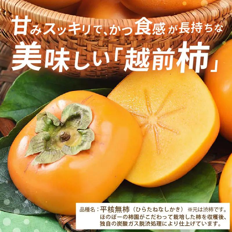 【先行予約】【2026年10月下旬～11月中旬に発送予定】秋の味覚を贈り物に！厳選「越前柿」大玉 9個（ご贈答用）／ 果物 フルーツ 産地直送 期間限定 ※2026年10月下旬～11月中旬に発送予定 