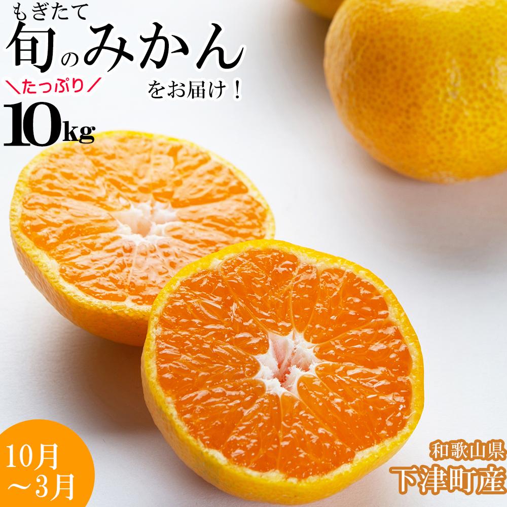 【ふるさと納税】みかん 約10kg 大小混合サイズ 《ご家庭用》 和歌山県産 農園直送 まごころ産直みかん 【10月中旬から3月上旬頃まで順次発送】【北海道・沖縄県・一部離島 配送不可】訳あり | 海南市 家庭用 人気 おすすめ 温州みかん ふるさと納税