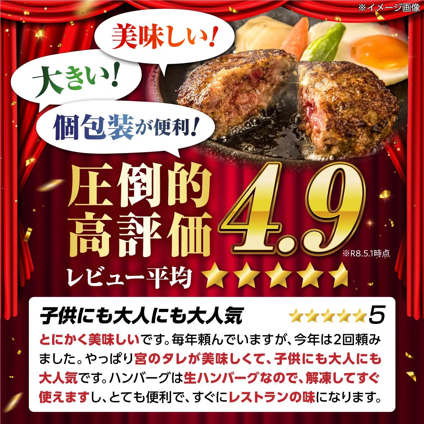 ハンバーグ12個  宮のタレセット [AQAM002]ハンバーグ