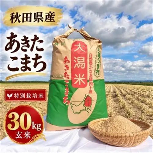 特別栽培米 あきたこまち 玄米 30kg【配送不可地域：離島・沖縄県】【1777396】