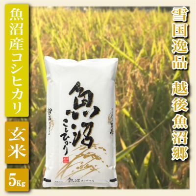 ふるさと納税 魚沼市 【毎月定期便】【雪国逸品 玄米5Kg】越後魚沼郷 魚沼産コシヒカリ全6回