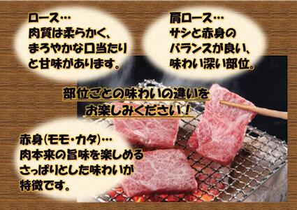 オリーブ牛　肩ロース焼肉用　450g |国産 牛 オリーブ牛 国産牛 肩ロース 焼肉 肉 国産牛 焼肉 肉 オリーブ 焼肉 人気 焼肉 国産肉 肉 国産牛