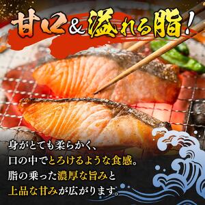 紅鮭 天然 切り身 1kg (9～11切入り)  真空パック 【uot715C】