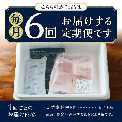 ふるさと納税 焼津市 訳あり【定期便 6回】南鮪・刺身・中トロ(約700g)(a60-020) |  | 02