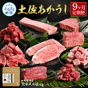 【ふるさと納税】特選 土佐あかうし 9ヶ月定期便 長期熟成肉 9種 田野屋銀象 完全天日塩付き 牛肉 肉 お肉 和牛 国産 牛 赤身 ヒレ カルビ ロース ブロック ステーキ サーロイン シャトーブリアン スネ肉 熟成肉 豪華 贅沢 真空パック 冷凍配送 新鮮 故郷納税 高知県 土佐市