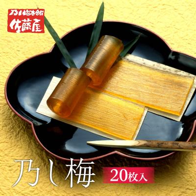 ふるさと納税 山形市 乃し梅(のし梅) 20枚入 FZ20-906