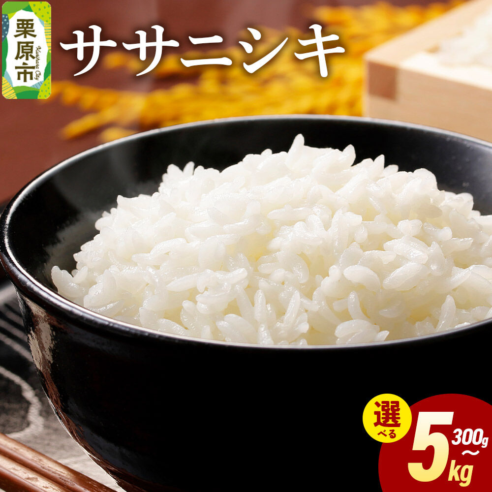 【ふるさと納税】米 白米 令和7年産 ササニシキ 【選べる内容量：300g／2kg／5kg】 [ふるさと納税 米 ササニシキ お試し 選べる セット 300g 2kg 5kg こめ 精米 白米 おいしい 美味 旨み 甘い 宮城県 栗原市]