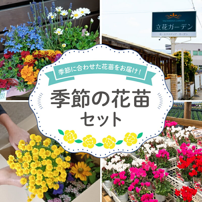 【ふるさと納税】 花苗 セット 8 ~ 10 ポット ガーデニング 寄せ植え 季節の花 贈り物 フラワー ギフト 庭園 プランター 園芸 家庭菜園 春夏秋冬 草花 鉢植え DIY 緑化 花壇 ベランダ 庭作り 花好き 園芸用品 植物 栽培キット 藤枝市 静岡県