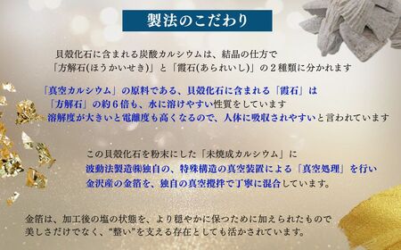 天日干し２年 火入れしない生の塩 「極楽塩」 1kg×10袋 金箔 貝カルシウム入り 食べる楽しさを極め 食塩 食卓塩 海塩 調味料