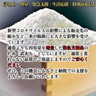 【定期便】令和5年産 米 10kg 6ヶ月 京都丹波産 コシヒカリ 白米＜JA京都 たわわ朝霧＞ 6回定期便 10kg（5kg×2袋）×6回 計60kg 毎月発送に合わせて精米