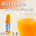 【ふるさと納税】果汁100％　田村そだちみかんジュース　970ml×3本