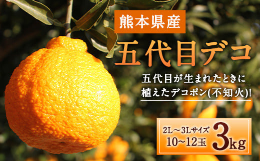 五代目デコ 3kg (10玉～12玉) 不知火 果物 くだもの フルーツ【2026年2月下旬～6月下旬発送】