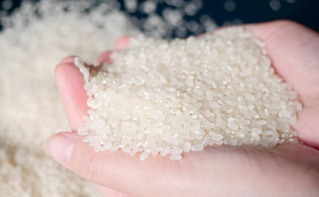 ＜3ヶ月定期便＞ 令和7年産 富山県産コシヒカリ 5kg お米自慢コンクール優秀賞！ 米 コシヒカリ 頒布 定期便 白米 精米 富山県 氷見市