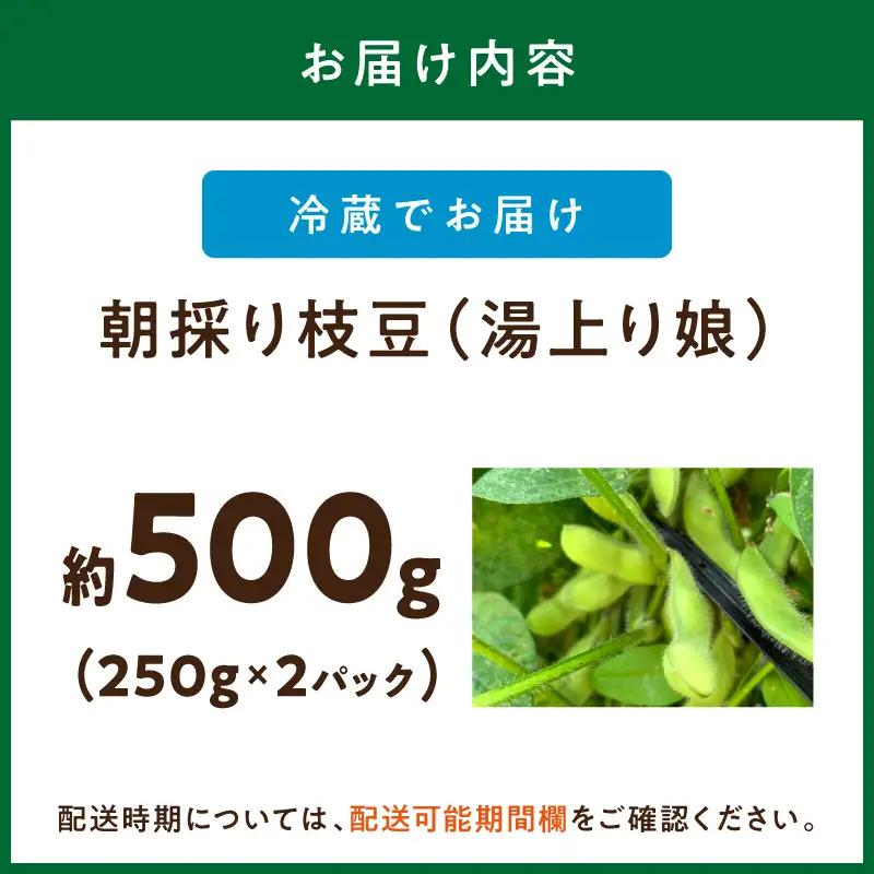 【数量限定】朝採り枝豆（湯上り娘）500g（250g×2パック）（栽培期間中農薬・化学肥料・除草剤不使用）（2027年7月上旬～発送） 枝豆