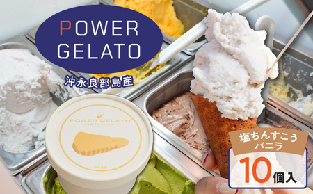 POWER gELATO 沖永良部島産（ 塩ちんすこうバニラ ）90ml × 10個入り W066-004-02 冷凍 スイーツ