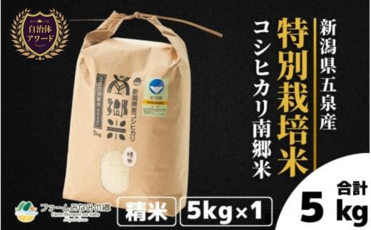 令和7年産 新米 【 先行予約 】 米 5kg 五泉産 コシヒカリ 南郷米 特別栽培米 | 白米 精米 こしひかり お米 おこめ コメ こめ 新潟県 五泉市 ファームみなみの郷 [9月中旬以降順次発送]