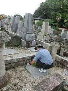 墓地清掃サポート事業
