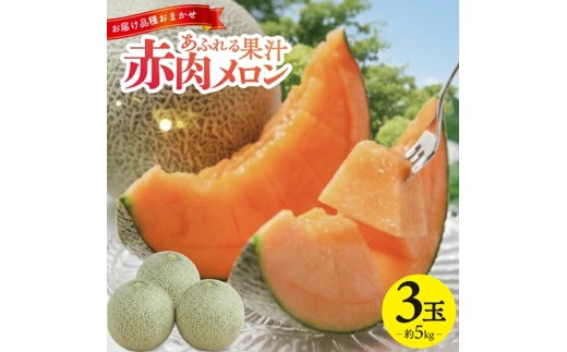 庄内赤肉メロン　約5kg(3玉入)   SA2883