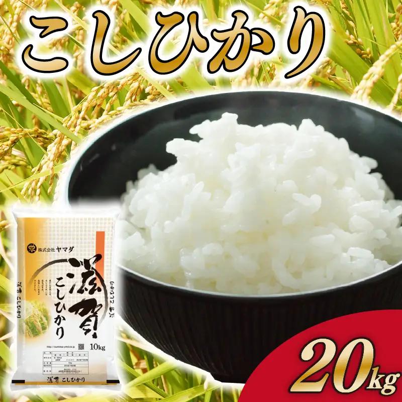 こしひかり 20kg 白米 コシヒカリ 米 こめ ご飯 近江米 お弁当