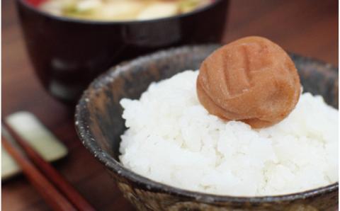 完熟南高梅 白梅干し 1.25kg 塩分約20％ 完全無添加 サイズ混合 ご家庭用【2025年9月より発送予定】【njb647-1】