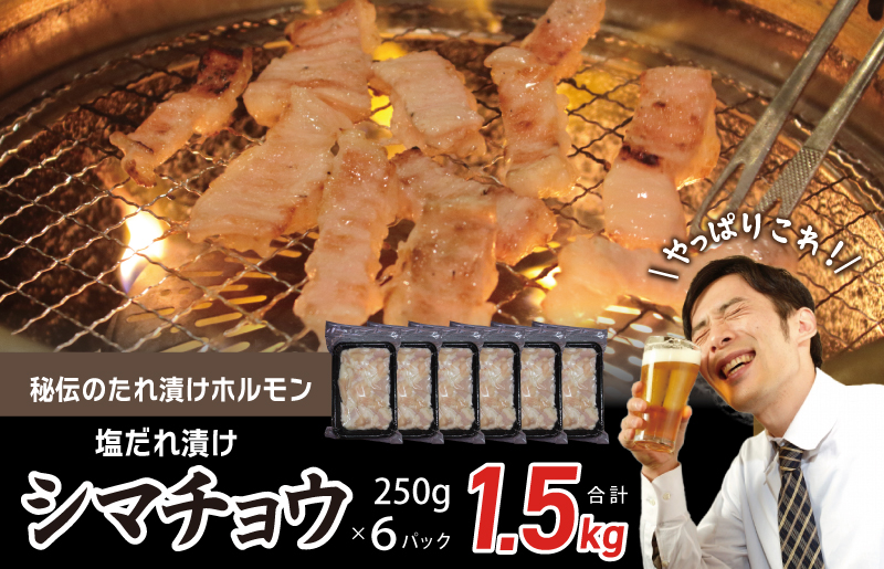 G1765 【焼肉屋の定番】シマチョウ 塩だれ漬け 1.5kg【小分け 250g×6 牛肉 ホルモン 焼肉用】