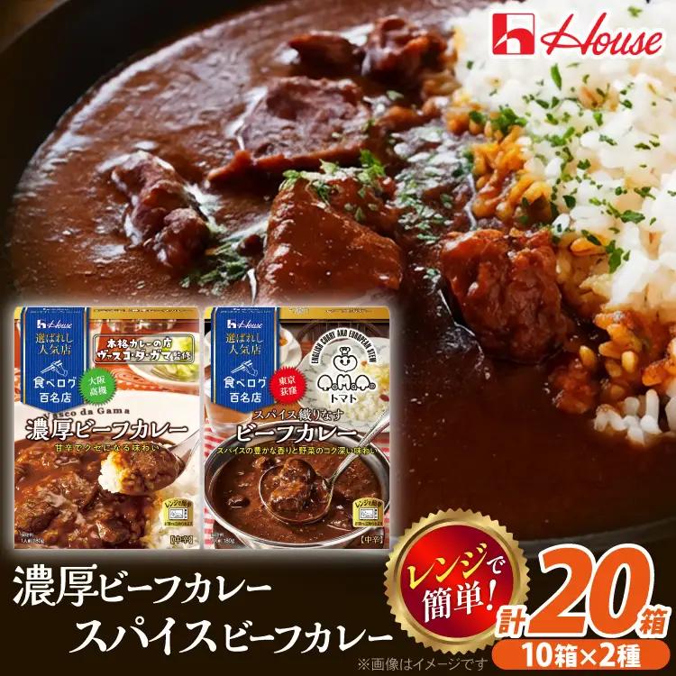 カレー レトルト ハウス 選ばれし人気店 濃厚ビーフカレー＆スパイス織りなすビーフカレー 各10個  計20個