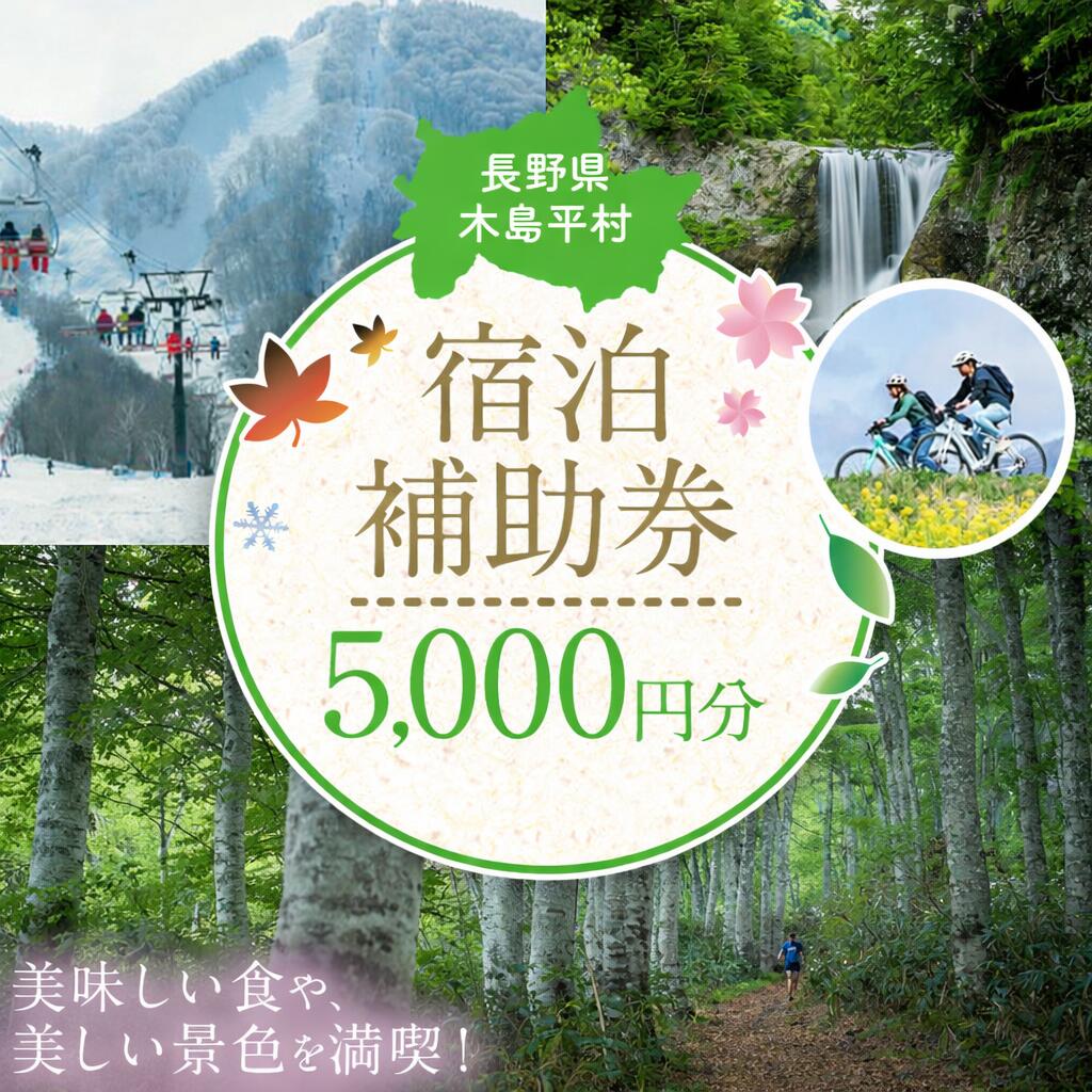 【ふるさと納税】木島平村 宿泊補助券 5000円分 | チケット 金券 旅行 旅行券 ホテル券 宿泊 補助 スキー ペンション 旅館 ホテル 民宿 山荘 木島平村 長野県 信州 北信州