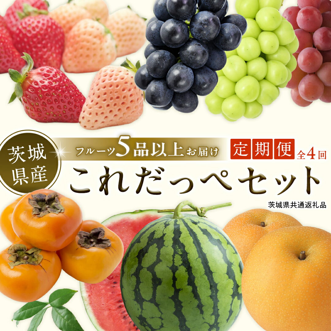 【ふるさと納税】【定期便】 旬のフルーツはこれだっぺセット 年4回 田舎の頑固おやじが厳選！ 定期便 フルーツ 果物 隔月 厳選 季節 旬