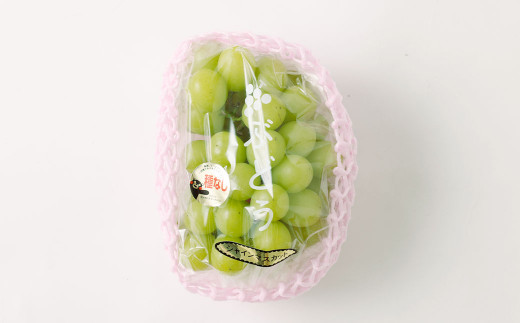 熊本県産 シャインマスカット 2房 約1.2kg前後