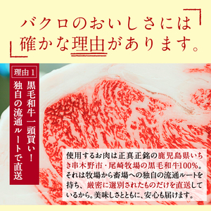 鹿児島県産黒毛和牛100%ミンチ(約350g×2パック・約700g) 和牛ミンチ 国産和牛 黒毛和牛 ミンチ 【A-676H】