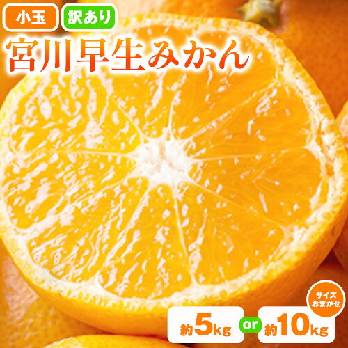 【ふるさと納税】小玉 宮川早生みかん 訳あり 選べる 約5kg 約10kg (サイズおまかせ) うえやまファーム《2025年11月下旬-2026年1月上旬頃出荷》 和歌山県 日高川町 旬 新鮮 果物 柑橘 フルーツ 国産 送料無料 ミカン みかん