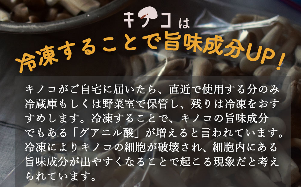 定期便 6回 隔月お届け 質で勝負！ 農薬不使用 雲仙きのこセット 4品目 [吉岡青果 長崎県 雲仙市 item1281] 