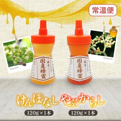 ふるさと納税 盛岡市 藤原国産蜂蜜 けんぽなし&やぶからし 計240g 完熟 単花蜜 藤原養蜂場 岩手県盛岡市 |  | 03