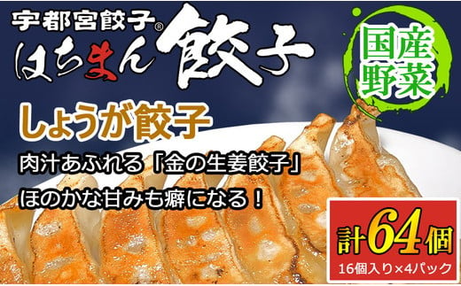 宇都宮餃子はちまん餃子 しょうが餃子 64個 （16個入り×4パック/1個 22g） ｜ 宇都宮餃子 国産野菜 グルメ 宇都宮市 しょうが ぎょうざ ギョーザ 野菜 冷凍食品 冷凍餃子 焼き餃子 水餃子