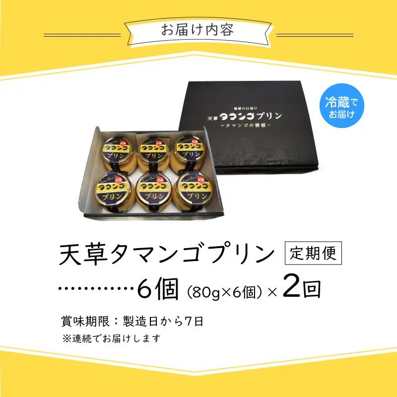 S164-001-T02_【定期便2回】天草タマンゴプリン6個入り