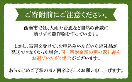 【6回定期便】 ひのひかり 白米 10kg ＜ハマソウファーム＞[CBR026]  長崎 西海 ひのひかり ヒノヒカリ 米 白米 ご飯 西海市産米 米 ひのひかり 米 ヒノヒカリ 米 ひのひかり ヒノ