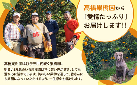 先行予約 宇城市産 訳あり 完熟不知火 約3kg【2027年2月上旬～3月下旬頃順次発送予定】【髙橋果樹園】