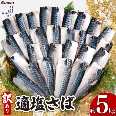 ふるさと納税 銚子市 訳あり　適塩さば　約5kg