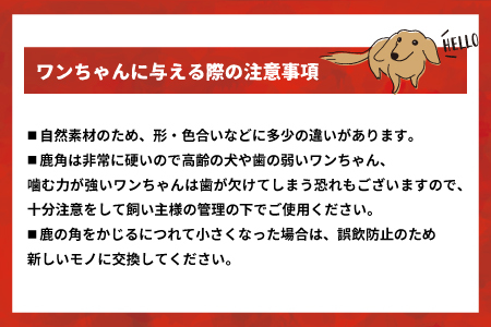 犬用「鹿の角(四つ割り)」Ｍサイズ×1本[53-1354]