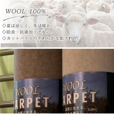 ふるさと納税 和泉市 【江戸間8畳】プレミアムウール100%カーペット クリーム (W-500 江戸間8畳CR) |  | 02