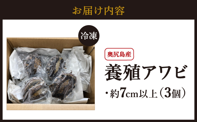 奥尻島産 冷凍 養殖アワビ (3個入り) 1個 約70mm | 新鮮 あわび アワビ 鮑 魚介 酒蒸し バター焼き 刺身 天ぷら グルメ お取り寄せ | 北海道 奥尻町 送料無料 OKS03-011