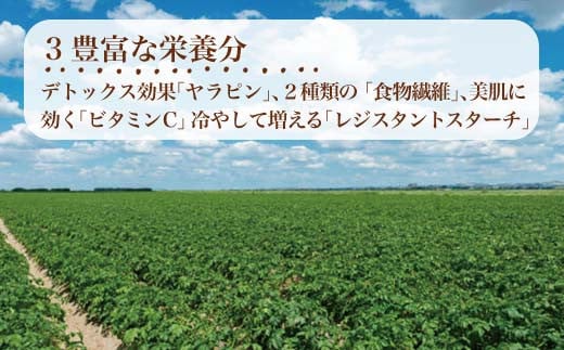 ヤラピンと食物繊維、ビタミンCも多くダイエットを意識されてる方や
健康志向（腸活）の特に女性にはとびっきりの究極のスイーツ♪